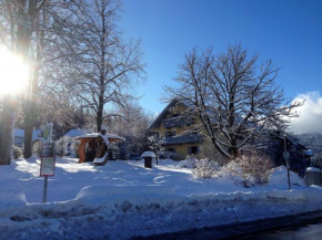 Maier Pension